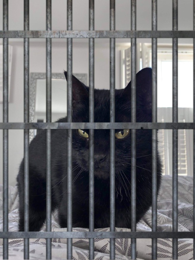 796EB22A-C3A2-42FF-A0C5-2F85C0FAB7DB