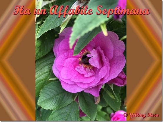 Un Affabile Septimana 