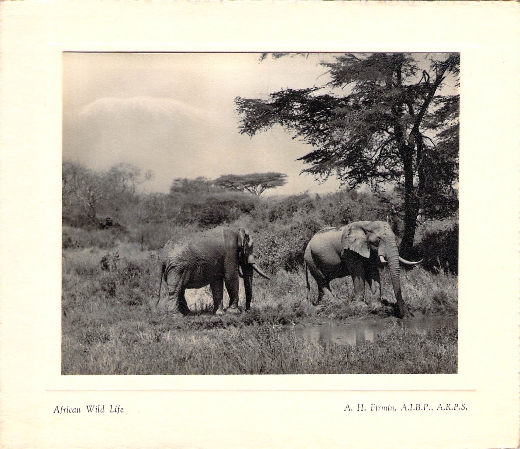 2018_09_13_10_06_35.pdf046