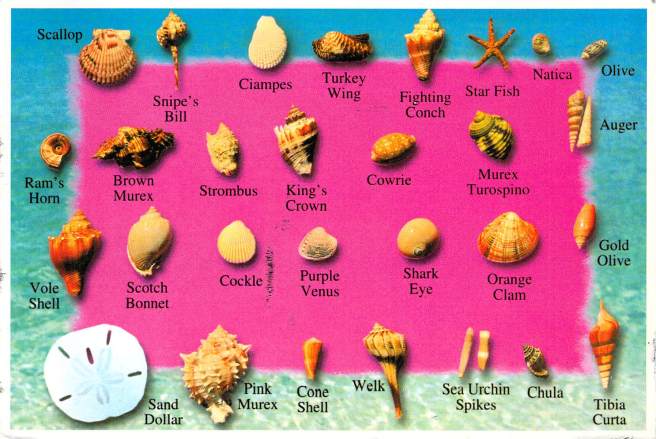 2018_09_30_13_02_56.pdf024