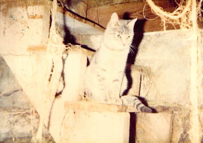 2018_10_30_11_25_04.pdf000