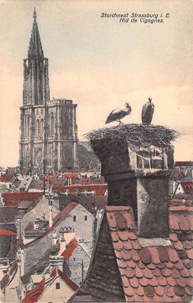 2018_11_04_15_24_28.pdf008