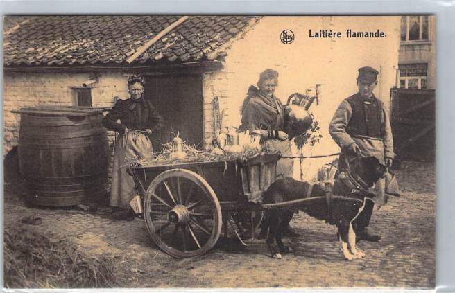 2019_01_07_11_36_06.pdf032