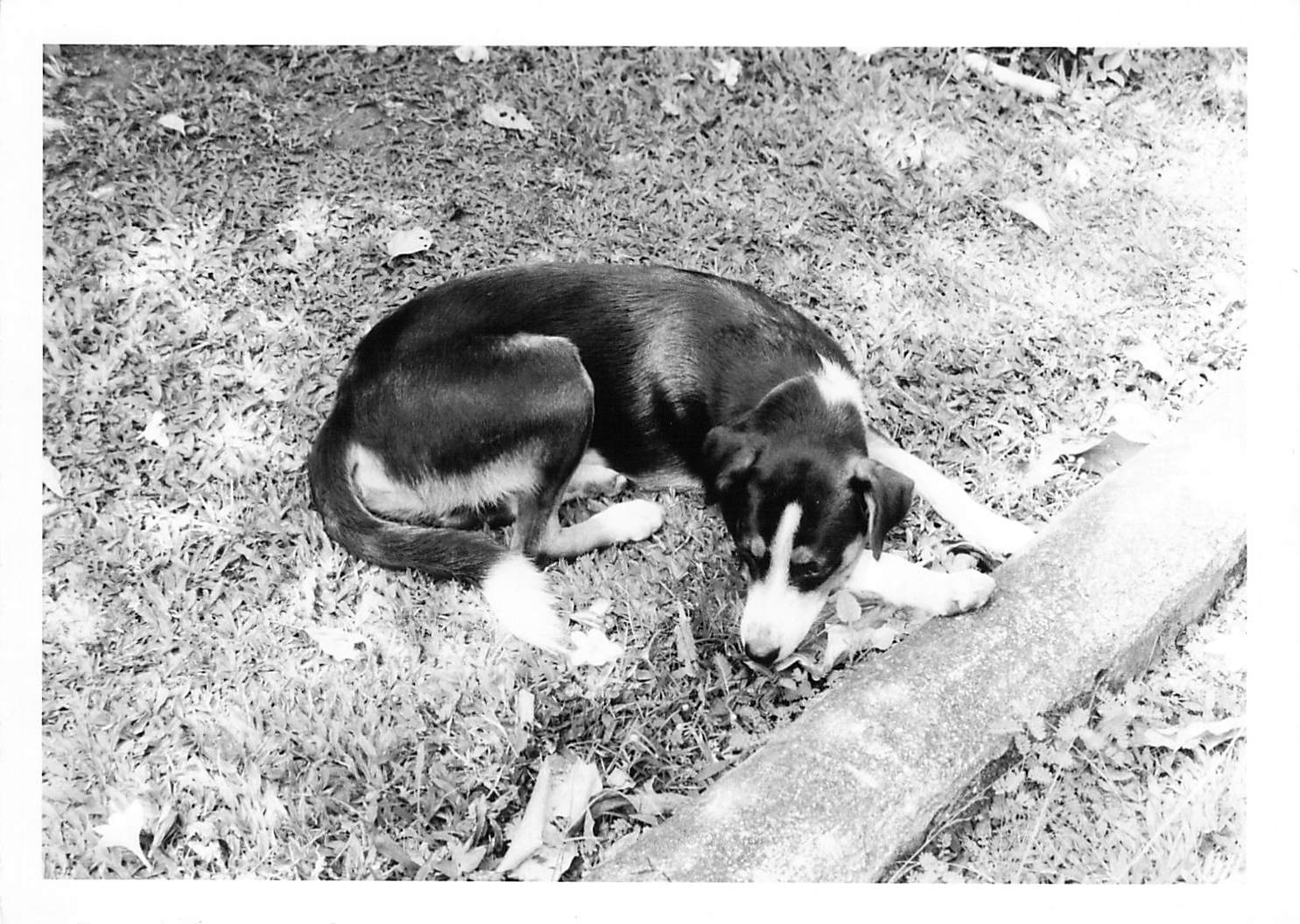 2019_01_17_10_13_04.pdf000