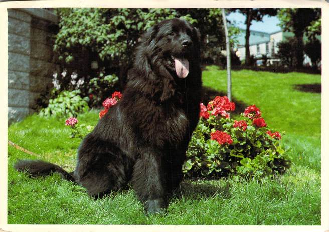 2019_02_04_12_10_34.pdf004