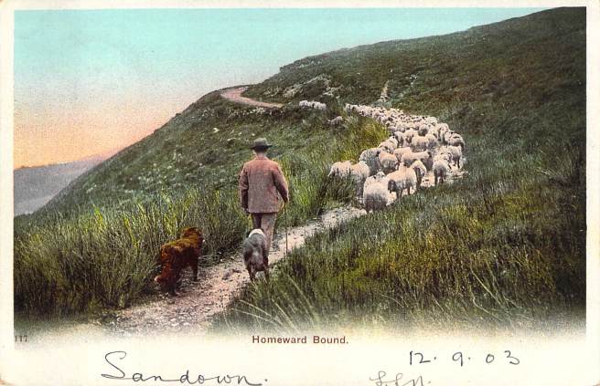 2019_02_04_13_10_08.pdf007