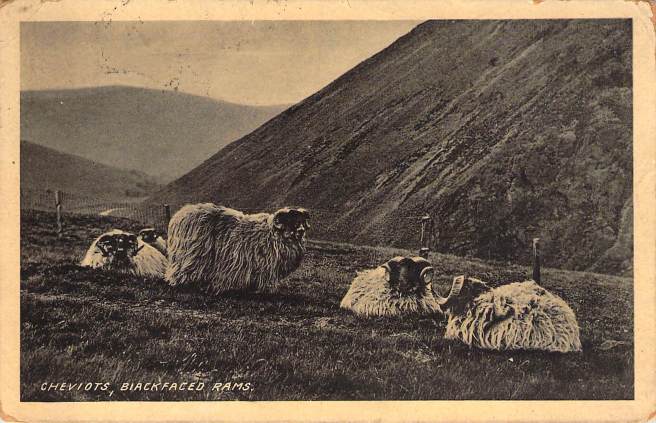 2019_02_04_13_10_08.pdf008