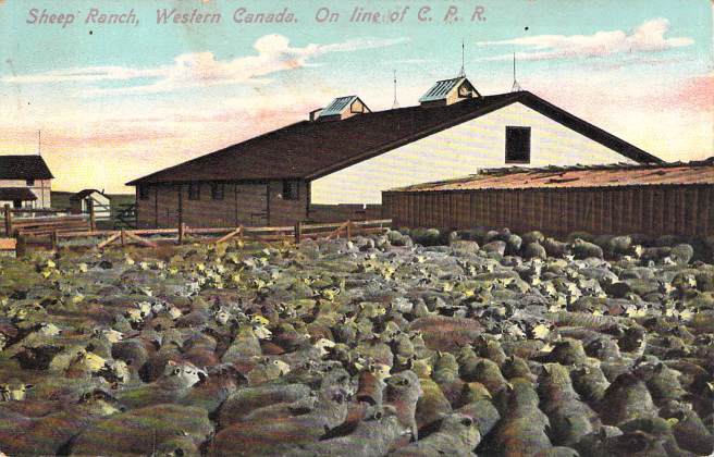 2019_02_04_13_10_08.pdf013