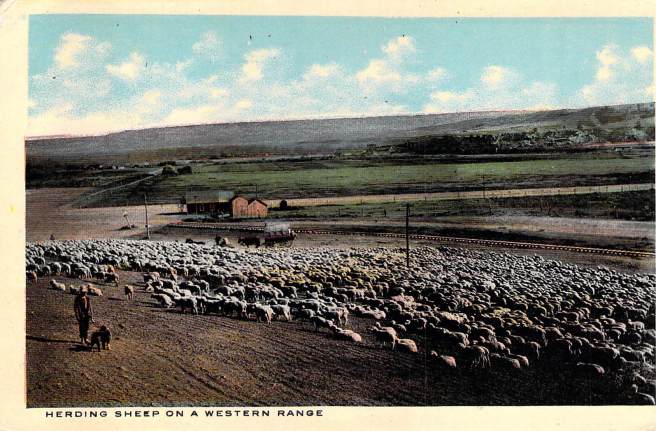 2019_02_04_13_10_08.pdf026