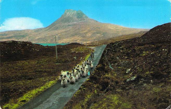 2019_02_04_13_10_08.pdf027