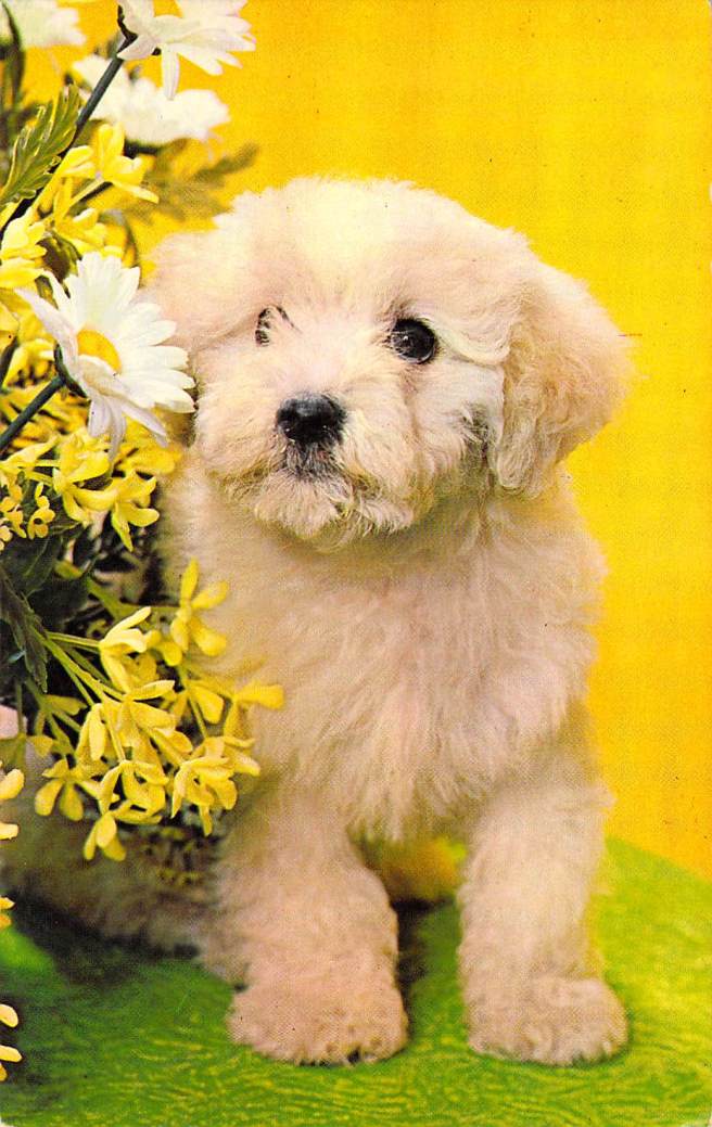 2019_03_03_17_03_43.pdf013