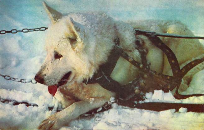 2019_03_04_15_59_36.pdf005