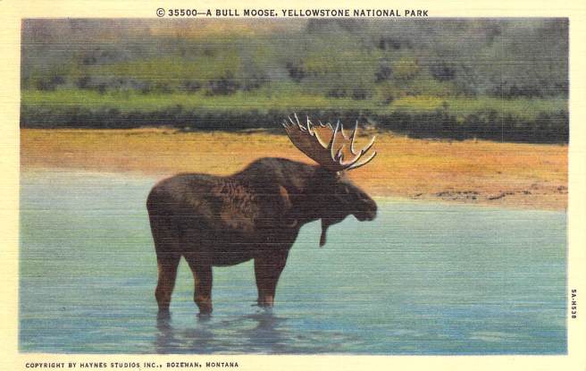 2019_03_28_08_57_41.pdf000