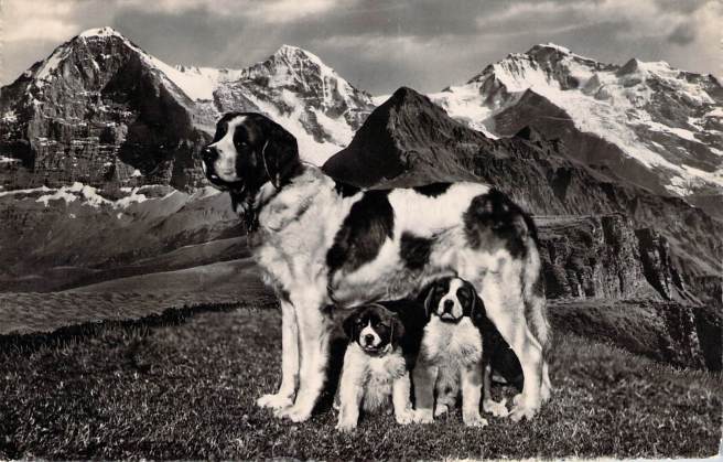 2019_04_15_08_40_22.pdf000