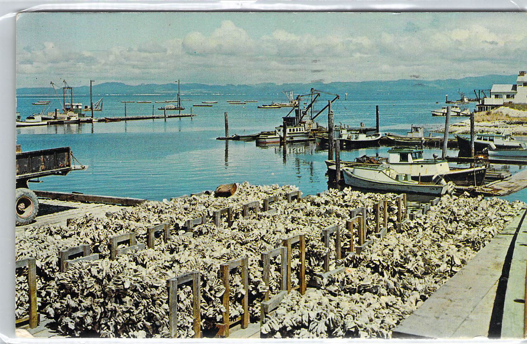 2019_05_05_16_17_48.pdf006