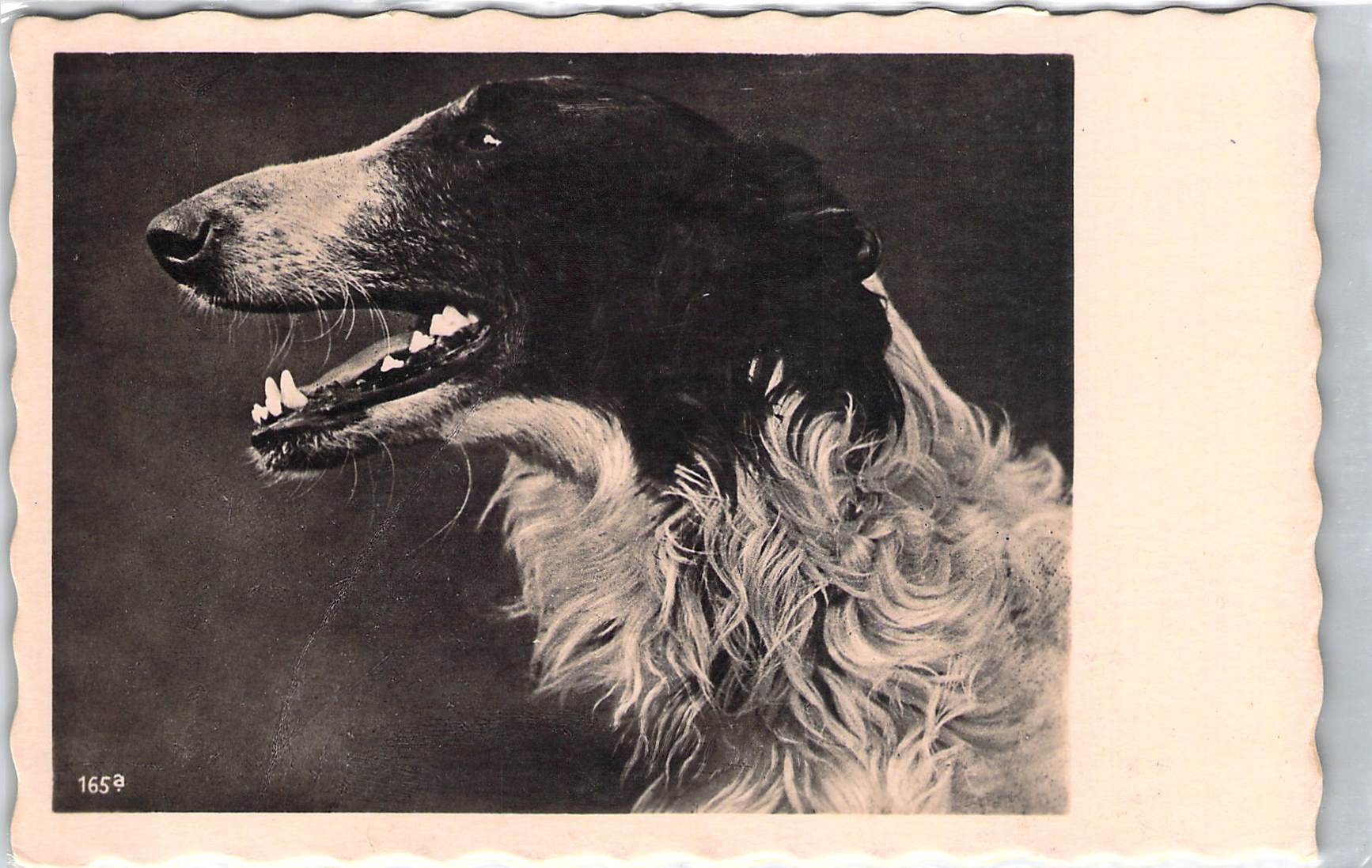 2019_07_11_12_18_02.pdf000