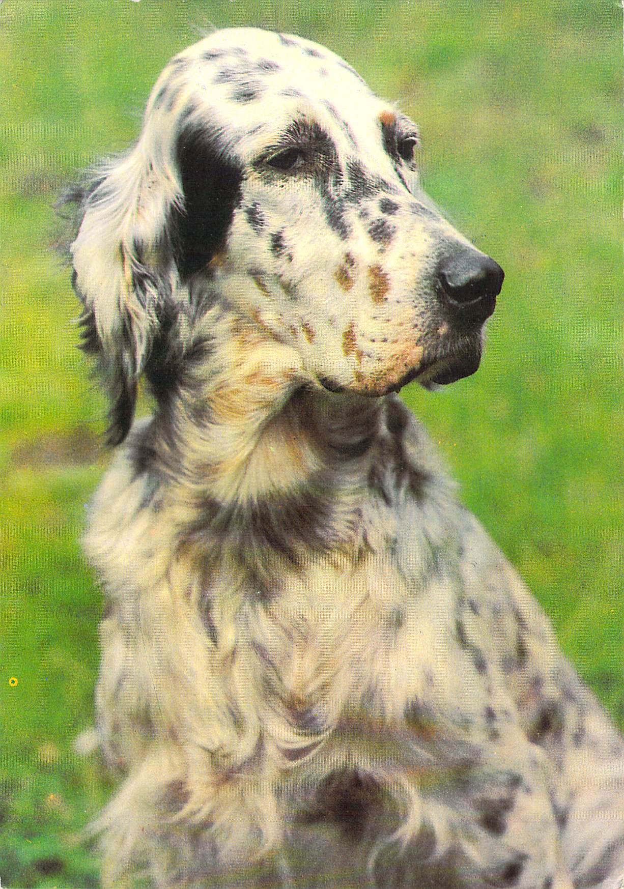 2019_07_19_20_15_43.pdf000